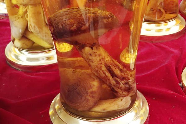 松茸人參泡酒可以儲存多長時(shí)間 松茸人參泡酒可以儲存多長時(shí)間