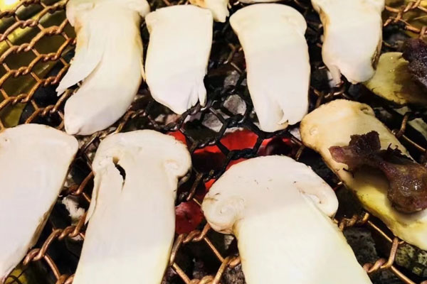 松茸變酸會不會有毒 松茸變酸會不會有毒