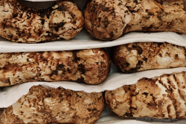 野生松茸保質(zhì)期多久，真空松茸片保質(zhì)期多長時間