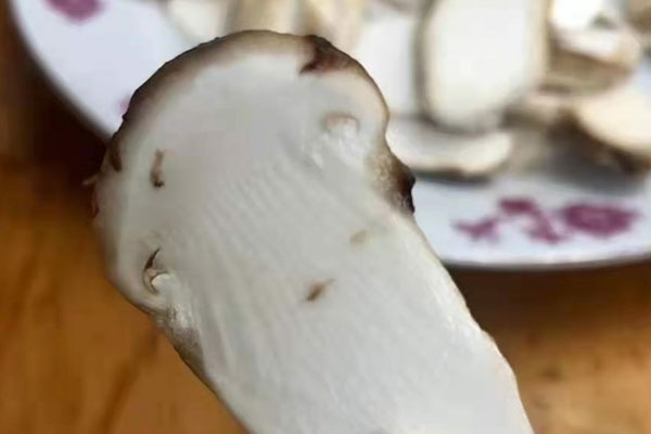 松茸番茄炒雞蛋的食用禁忌