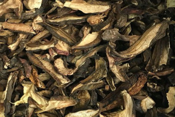 干鍋肥腸牛肝菌的食用禁忌 干鍋肥腸牛肝菌的食用禁忌