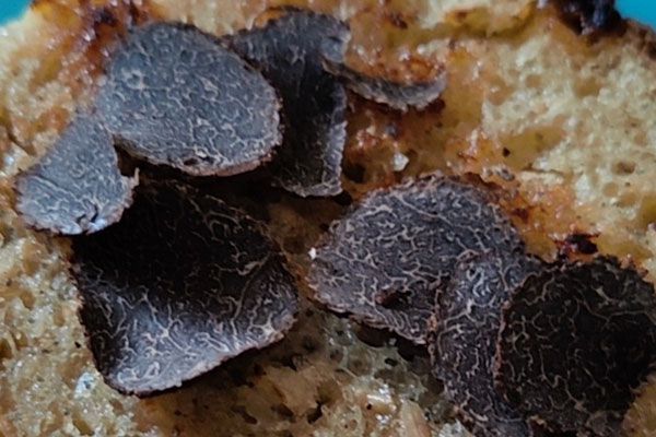 月經期間可以吃黑松露嗎，坐月子可以吃黑松露嗎