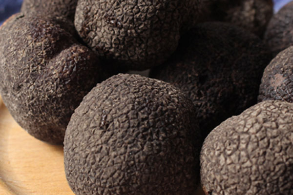 月子期間能吃黑松露嗎 月子期間能吃黑松露嗎