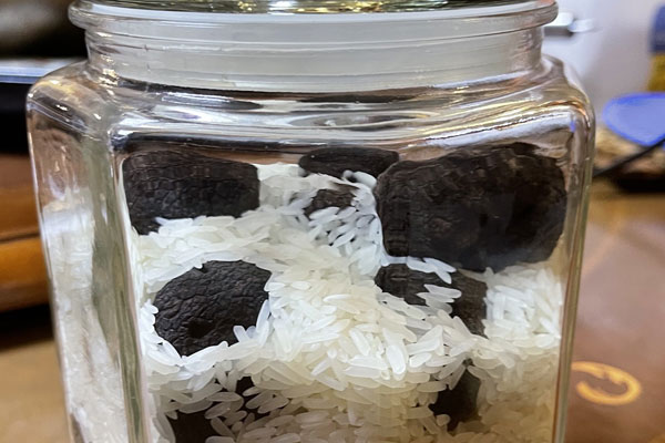 前列腺癌可以吃黑松露嗎 前列腺癌可以吃黑松露嗎