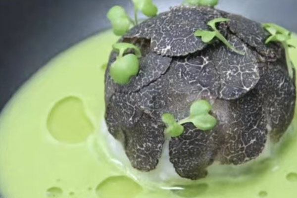 黑松露為什么稱為“食中鉆石” 黑松露為什么稱為“食中鉆石”