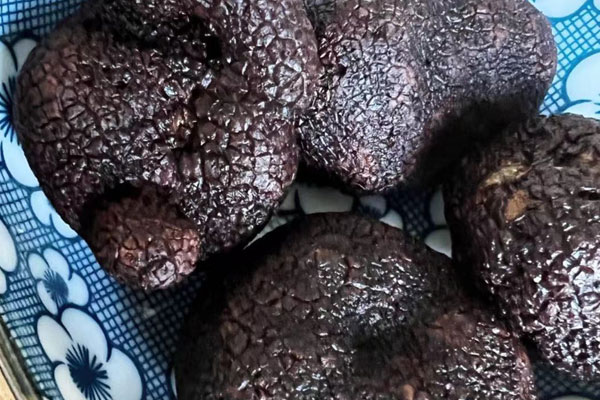 黑松露需要雨水嗎 黑松露需要雨水嗎