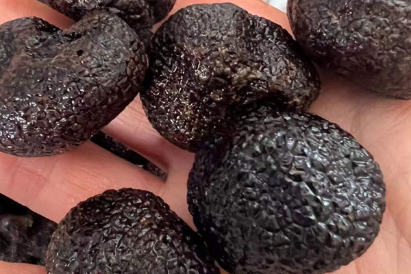 松露口蘑奶油燴飯的食用禁忌 松露口蘑奶油燴飯的食用禁忌