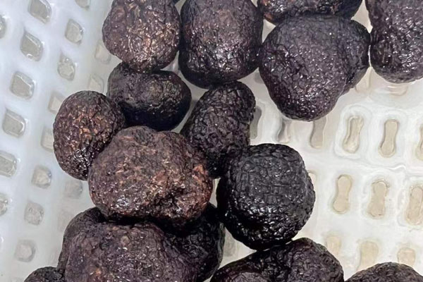 黑松露雞湯蘑菇面的禁忌人群 黑松露雞湯蘑菇面的禁忌人群