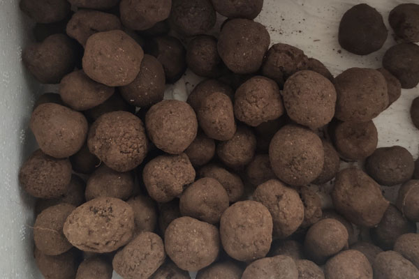 阿爾巴有松露嗎 阿爾巴有松露嗎