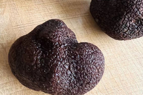 黑松露只有意大利有嗎 黑松露只有意大利有嗎