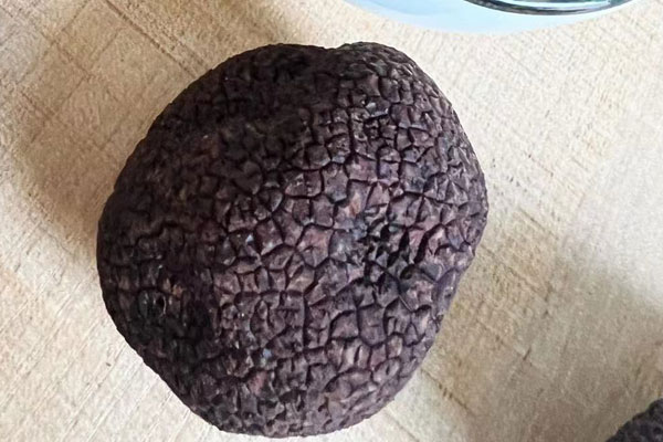 法國松露的年產(chǎn)量 法國松露的年產(chǎn)量