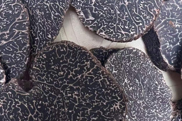 云南文山有松露嗎，曲靖什么地方有松露