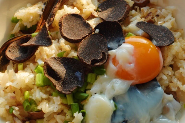 湖北有野生的松露嗎，云南有黑松露嗎