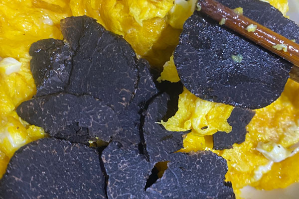 云南有沒(méi)有黑松露 云南有沒(méi)有黑松露