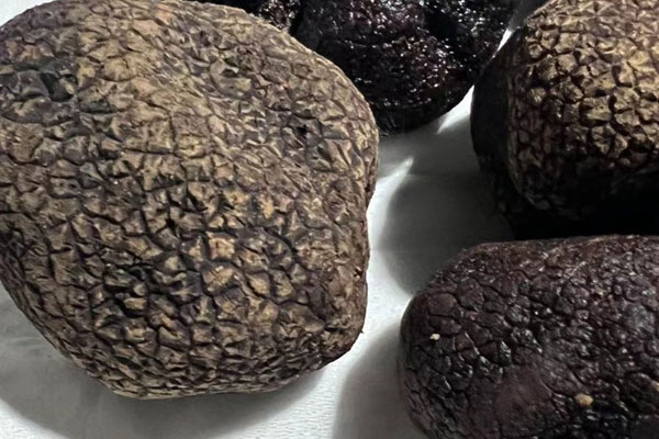 松露只有兩種顏色嗎 松露只有兩種顏色嗎