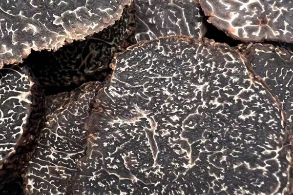 云南松露什么時(shí)候采摘，白松露屬于什么檔次