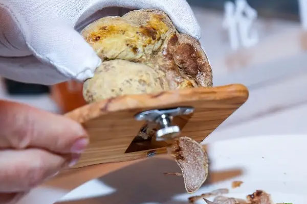 白松露的檔次 白松露的檔次