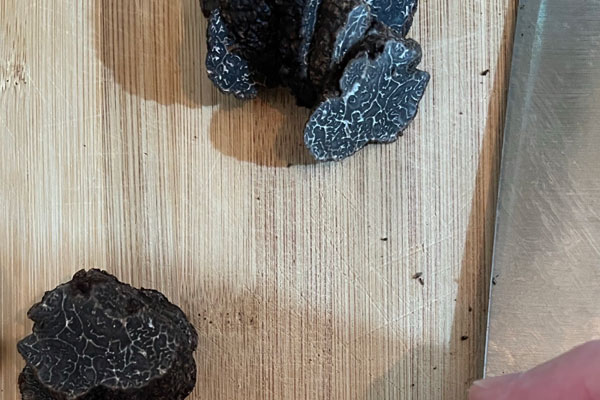 云南松露幾月份上市 云南松露幾月份上市