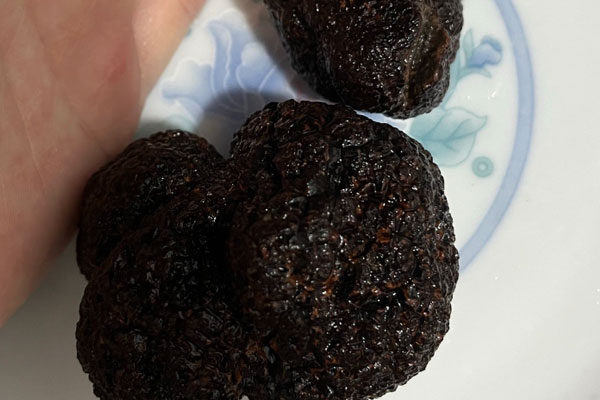 松露對其生長環(huán)境挑剔嗎 松露對其生長環(huán)境挑剔嗎