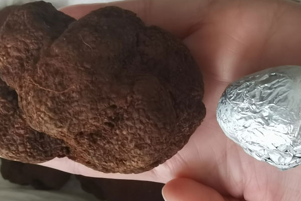 新鮮黑松露貴嗎，黑松露白松露哪個(gè)貴