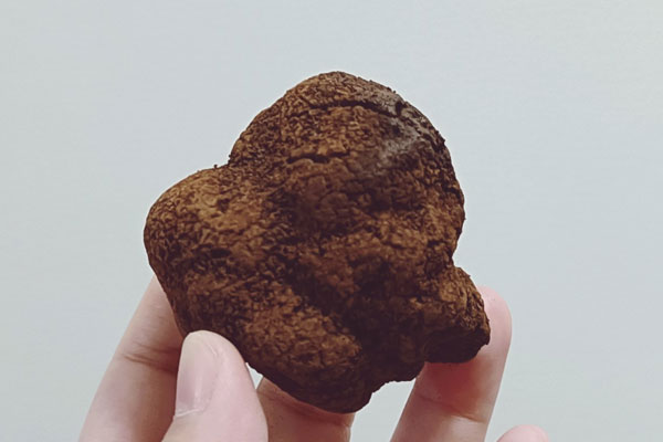 烹飪松露要焯水嗎 烹飪松露要焯水嗎