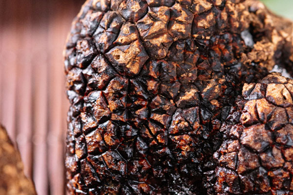 夏天有黑松露嗎，六月份有黑松露嘛