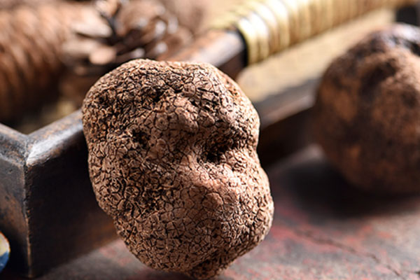 6月份季節(jié)有黑松露么 6月份季節(jié)有黑松露么