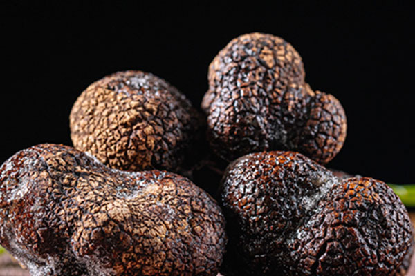 歐洲人對(duì)松露的認(rèn)識(shí)久遠(yuǎn)嗎 歐洲人對(duì)松露的認(rèn)識(shí)久遠(yuǎn)嗎