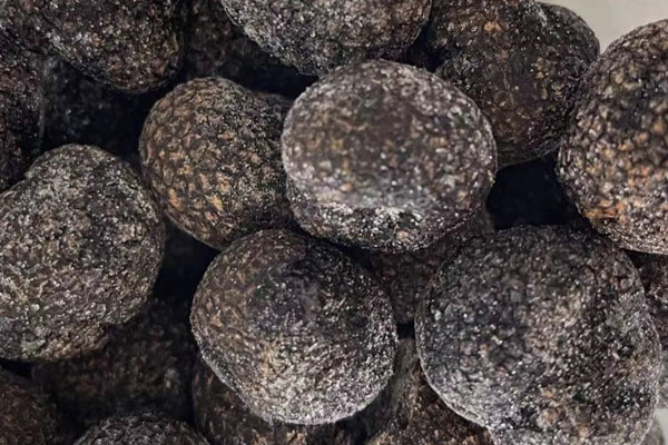 松露可以預(yù)防失眠嗎，黑松露是治療什么的