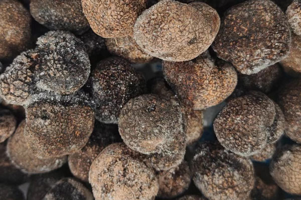 黑松露鮑魚(yú)蒸蛋的營(yíng)養(yǎng)價(jià)值 黑松露鮑魚(yú)蒸蛋的營(yíng)養(yǎng)價(jià)值