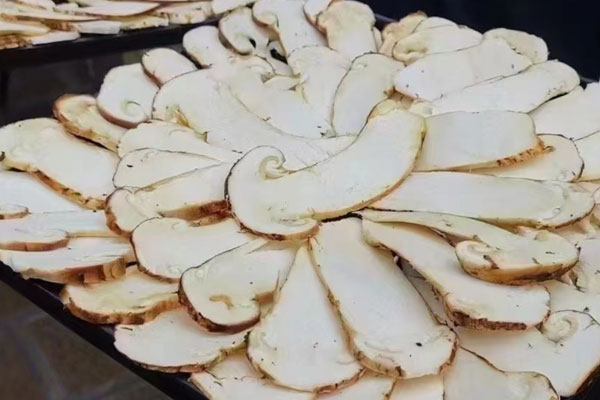 松茸適合減肥人群吃嗎 松茸適合減肥人群吃嗎