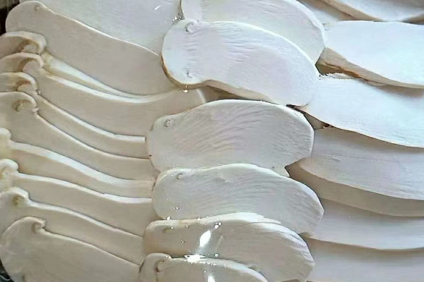 松茸是不是寒性食物 松茸是不是寒性食物