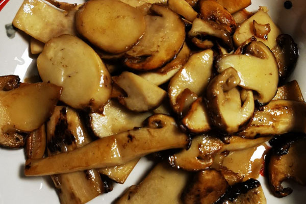 松茸是不是大腿蘑菇 松茸是不是大腿蘑菇