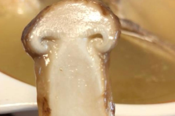 松茸黃皮果鴨湯的功效作用 松茸黃皮果鴨湯的功效作用