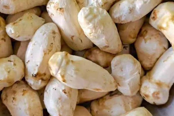 松茸酸蘿卜老鴨湯的禁忌人群 松茸酸蘿卜老鴨湯的禁忌人群