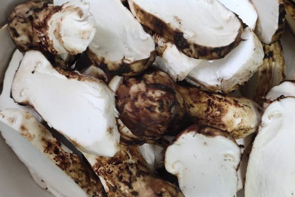 松茸人參烏雞湯的功效作用 松茸人參烏雞湯的功效作用