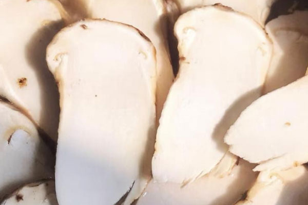 松茸苦瓜鴿子湯的食用禁忌 松茸苦瓜鴿子湯的食用禁忌