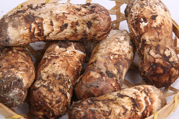 松茸是雞腿菇嗎，松茸屬于擔(dān)子菌嗎