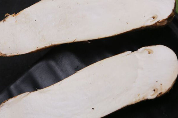 大花菌是松茸嗎 大花菌是松茸嗎