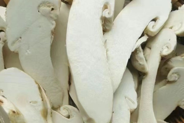 水洗后的松茸烘干時(shí)間長嗎 水洗后的松茸烘干時(shí)間長嗎