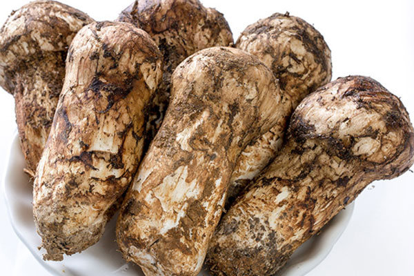 為啥云南人不重視松茸