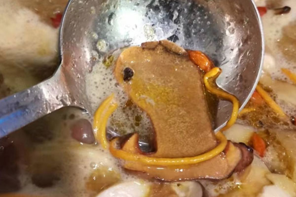 孕婦能喝牛肝菌湯嗎 孕婦能喝牛肝菌湯嗎