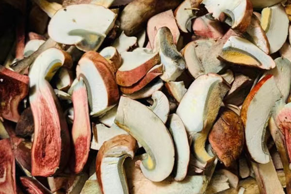 牛肝菌怎么繁殖，牛肝菌對皮膚病有影響嗎