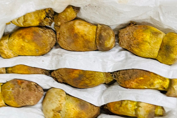 新鮮牛肝菌怎么冷凍好 新鮮牛肝菌怎么冷凍好