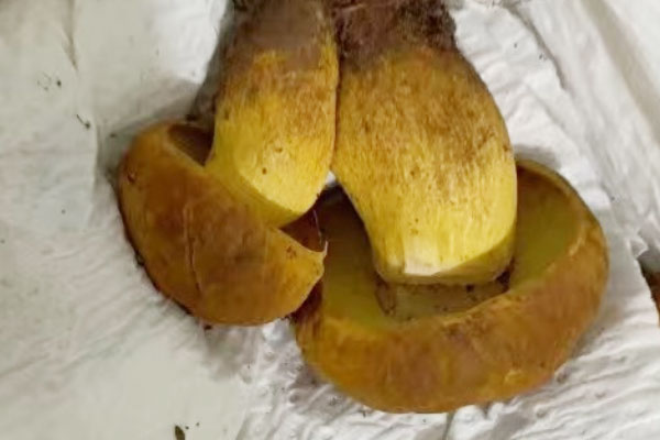 牛肝菌包子可以冷凍保存嗎 牛肝菌包子可以冷凍保存嗎