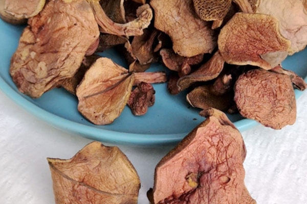 體虛犯困可以吃牛肝菌嗎 體虛犯困可以吃牛肝菌嗎