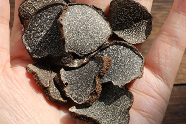 松露最貴多少錢 松露最貴多少錢