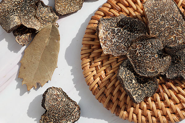 松露為什么貴 松露為什么貴