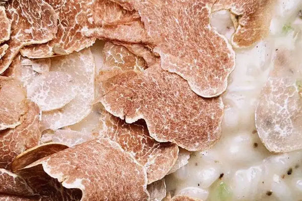 新鮮白松露怎么吃好 新鮮白松露怎么吃好