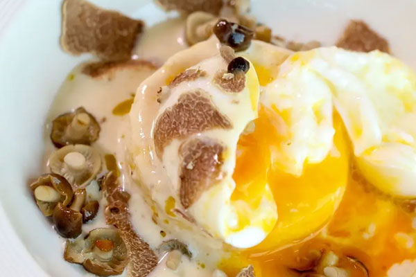 洗白松露難嗎 洗白松露難嗎